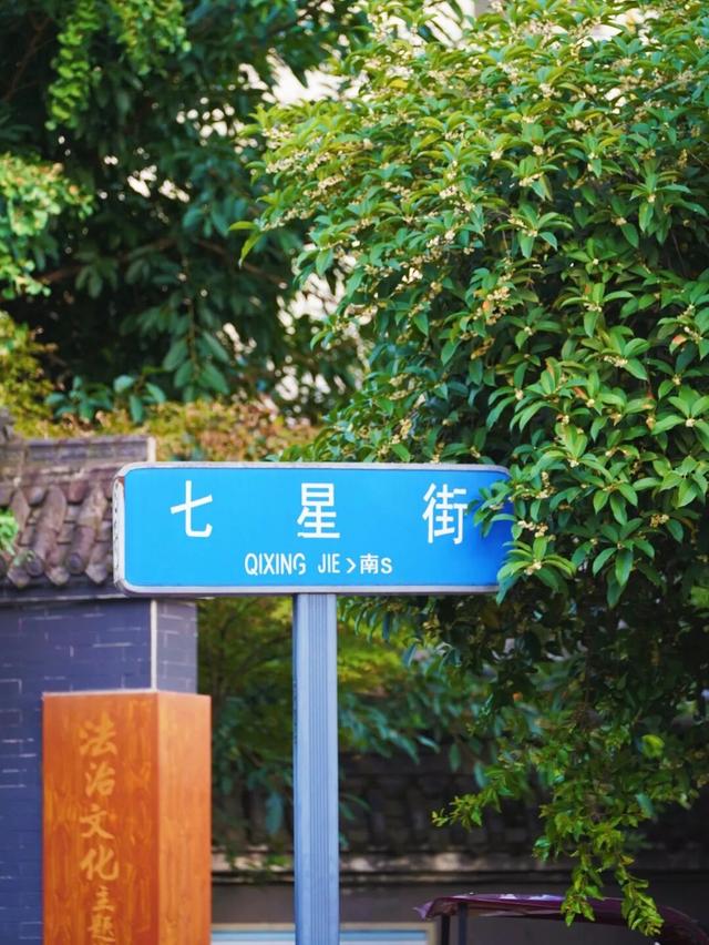 花漾邛州 | 秋意浓，满城桂雨润临邛