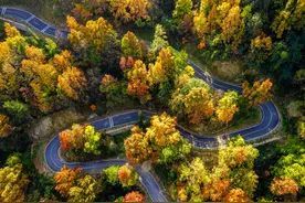 家乡有条追风路 团风县以路为媒打造交旅融合绿美风景线图片