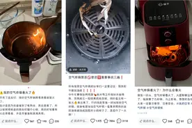 空气炸锅变“火锅”？！这个使用细节，很多人不知道图片