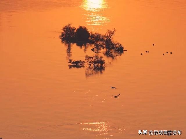 滇池南岸 浮光跃金