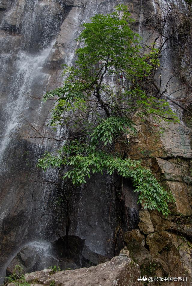 广东信宜：天马山引客来