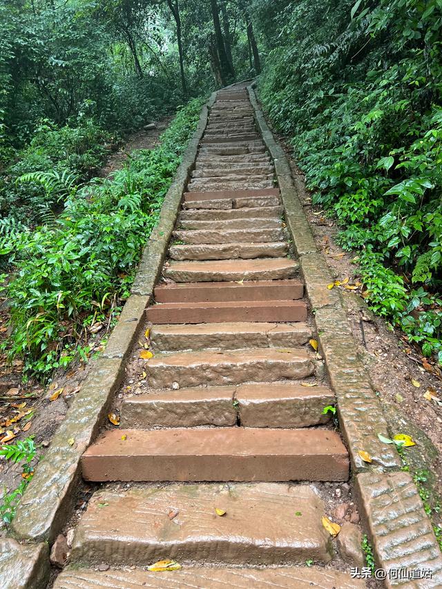 青城山，来过了，说几句