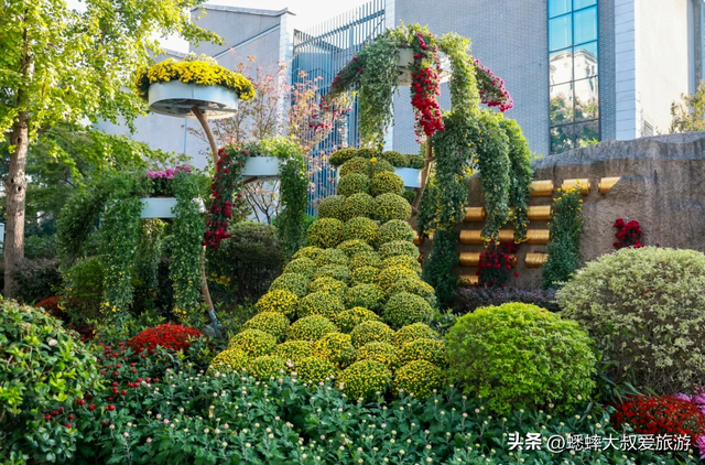 2025杭州植物园菊花展与四大分会场攻略来了，涉及赏玩交通！
