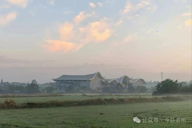 速来→崇州正上演初冬金色浪漫大片！