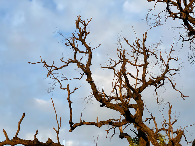 麒麟山真理公园1：这里的美景惊艳整个黄埔，你来过这里吗？