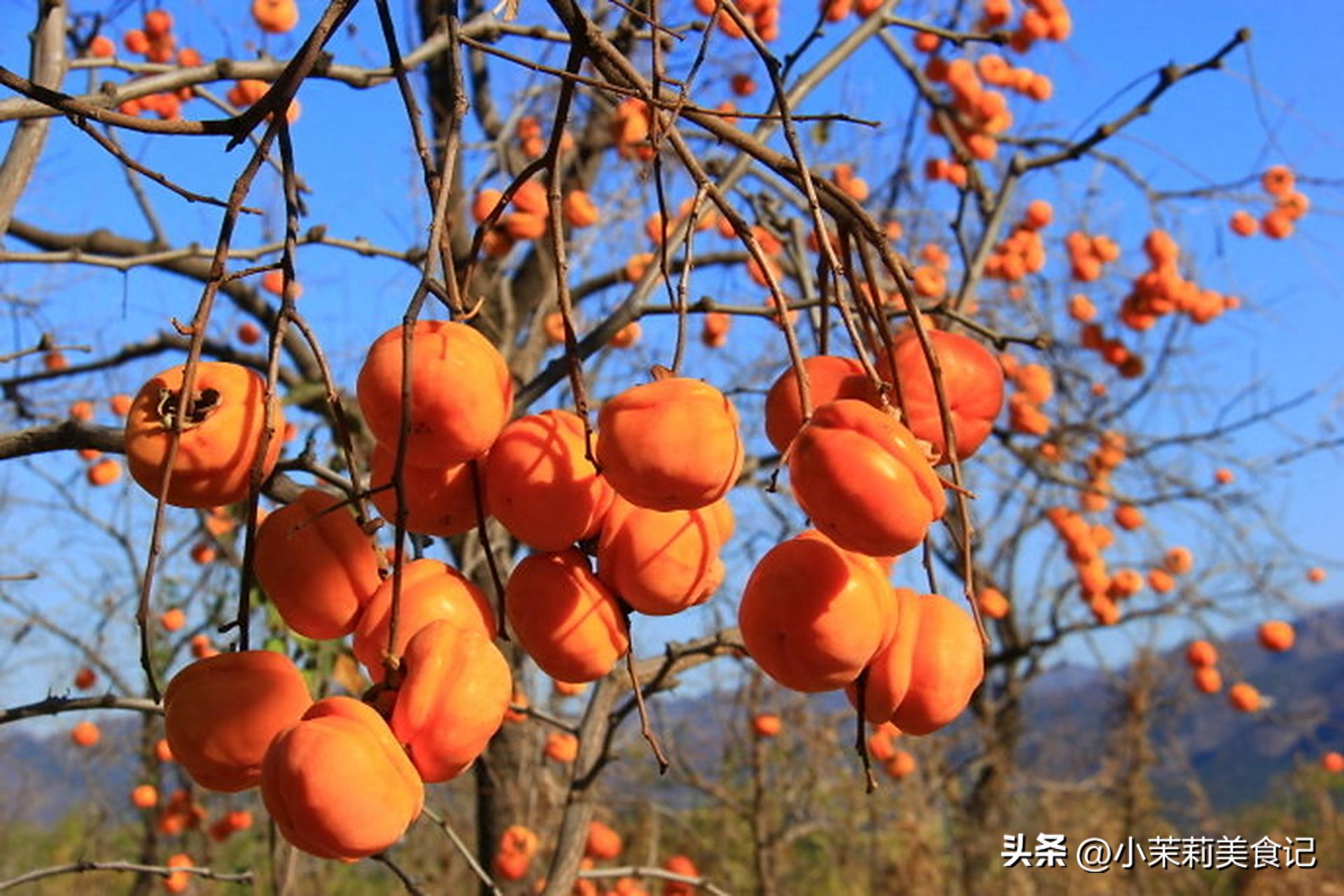 怎么晒柿子不招蝇子 d4e0f558ddc0476c9f3345a9fa493522~tplv-tt-cs0:1920:1280.jpg?_iz=31826&bid=10&from=article.headline&gid=7561631434419585577&lk3s=06827d14&x-expires=1763582221&x-signature=GJfKDI2RuaLgKCm6%2F7AN2iPYEZ4%3D