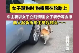 遛狗尿车胎后续：女子态度嚣张，当场被教做人，网友：活该被砸图片