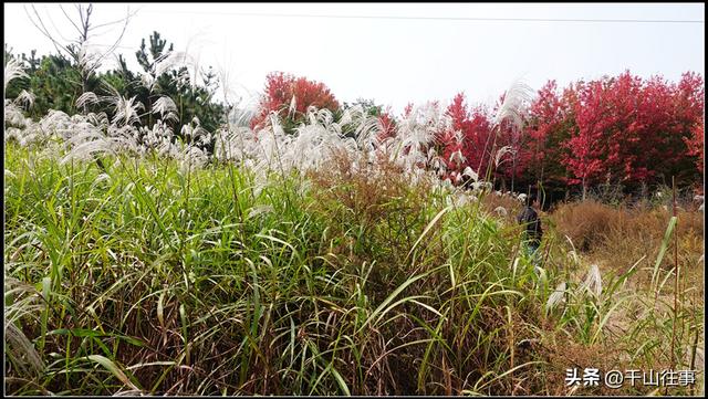 车轮碾过诗与画：枣庄骑行打卡地全攻略（老骑友多年亲测推荐）
