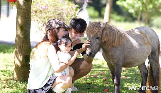 “马”上免单！“姓马、属马”，矮马王国免费玩！