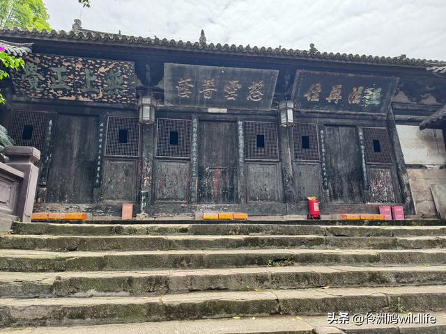 成都徒步（64）·新津篇③观音寺