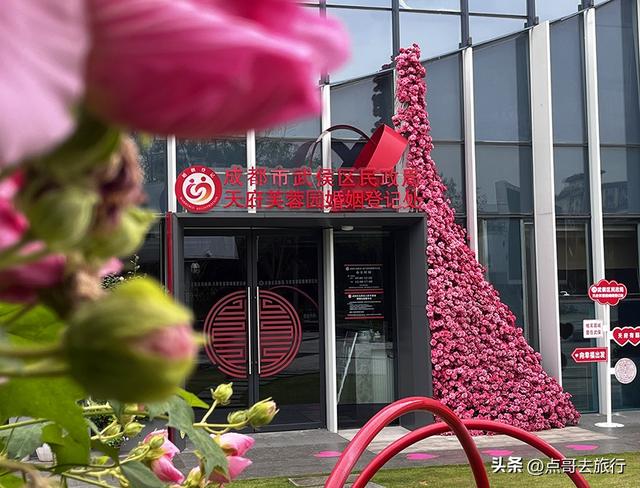 成都芙蓉花开爆了，成都人的私藏，不要门票，冷门却超级惊艳！