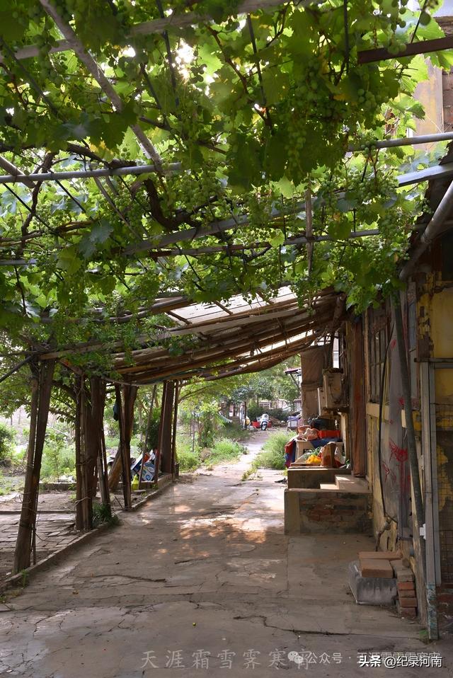 商丘电厂家属院