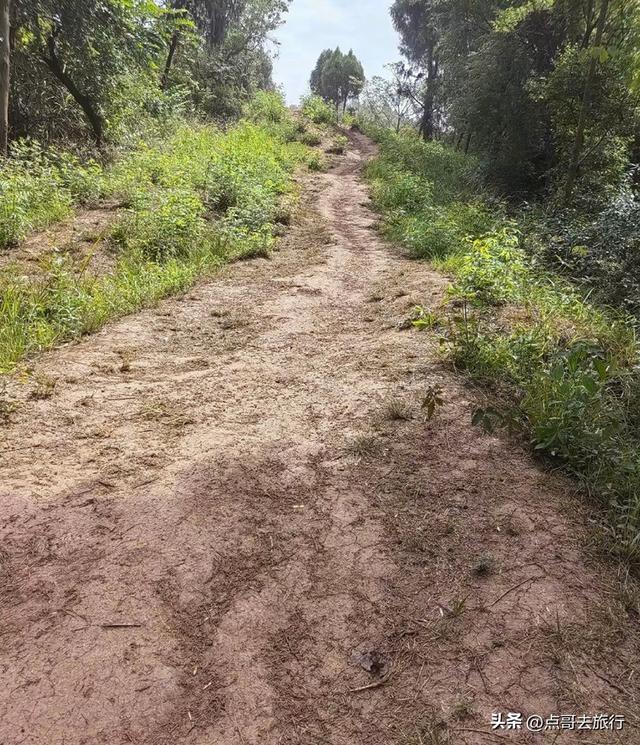 成都黄金徒步路线，公交直达起点，一处比一处惊艳，都不要门票！
