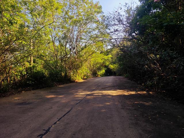 塘朗山郊野公园[绿平二路入口]骑行爬坡好地方