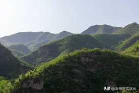 这位姨太太葬在临沭青龙山图片