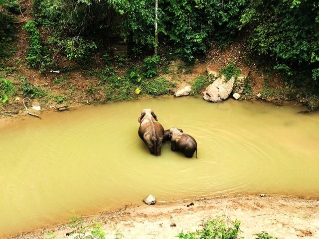 云南最美最值得去的4个城市，我去过第2个，想去第3个，你呢？