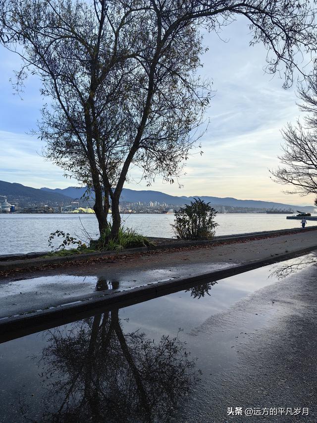 温哥华游记（四）