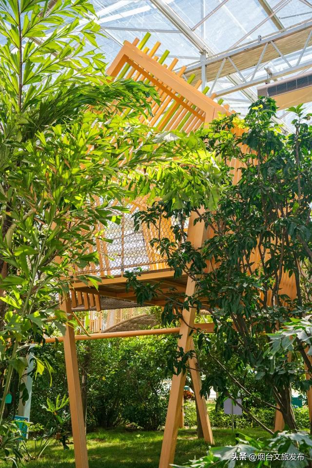 【乐游烟台】新晋遛娃地,烟台这家自然乐园超好玩