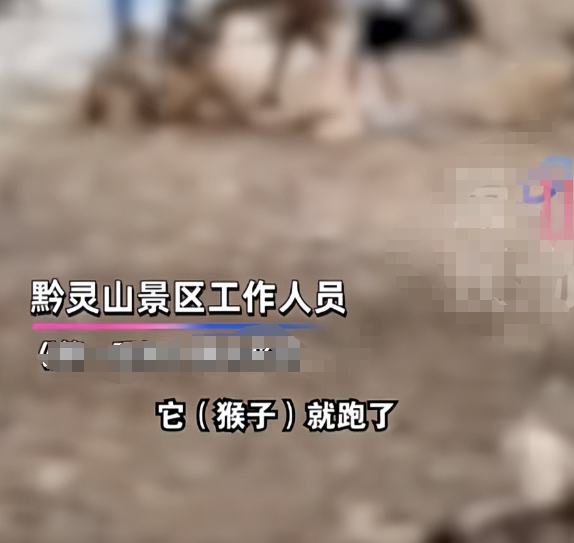 游客辱骂驱猴大爷，景区回应