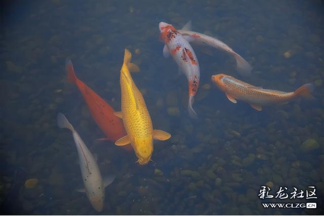 冬日秋韵醉昆明