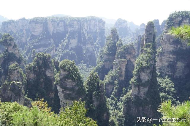 袁家界：地球的‘盗梦空间’！与2亿年的石英砂岩对视，这悬浮山