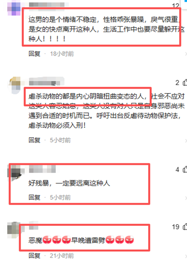 拴绳马犬遭柯基主人用酒瓶、砖头暴打，“持续约20分钟”，正在医院抢救；警方介入：已传唤涉事男子调查