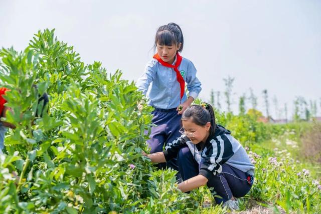 又一批路线发布！张家港春假，出发！