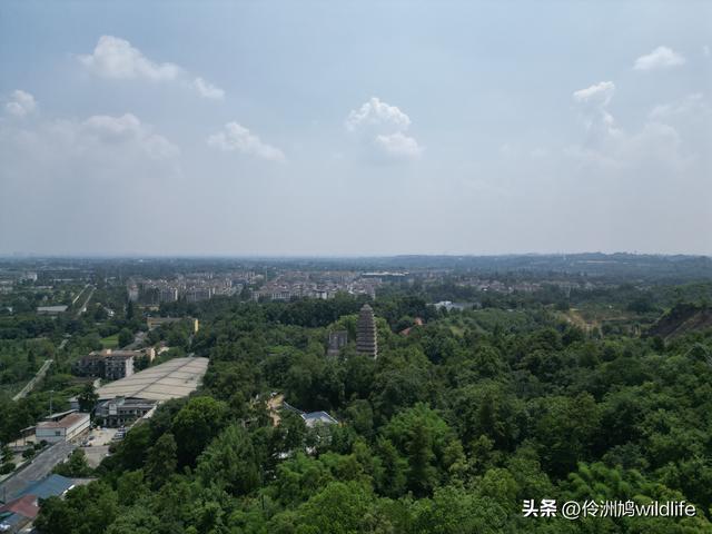 成都徒步（68）·彭州篇⑮佛山古寺&镇国寺宝塔
