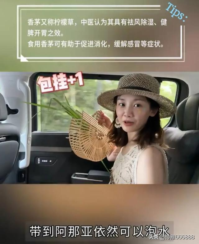郑恺和苗苗暑假带儿女去阿那亚旅游，一家人幸福感都溢出屏幕了！