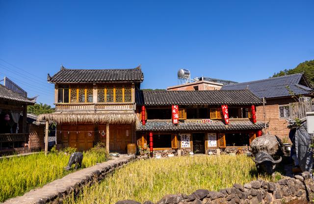 普洱游之那柯里