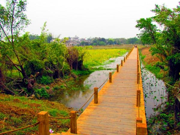 广东旅游：难忘开平碉楼自力村行记（图）