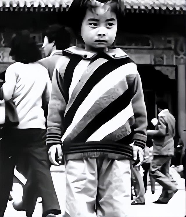 央视对郭晶晶的称呼变了，三字之差释放强烈信号，霍震霆全说对了