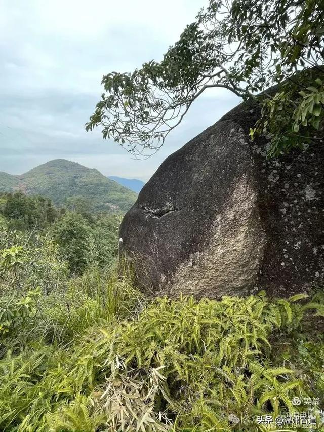 一步一景,奇石不断!温州这处奇石纷呈的的免费景区你可去过?