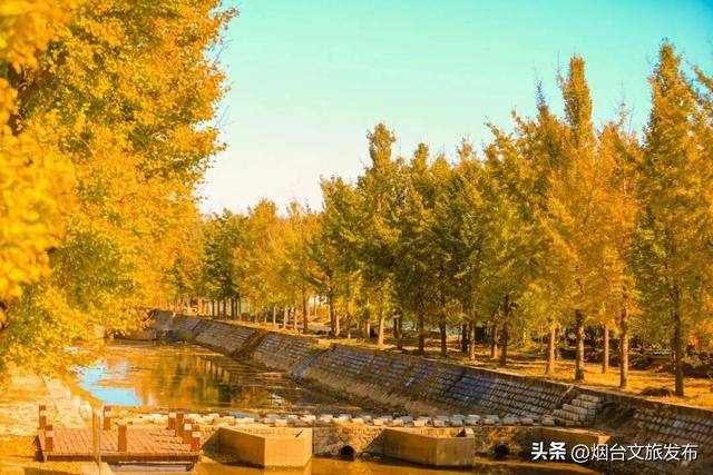 【乐游烟台】你好啊，烟台的秋天！
