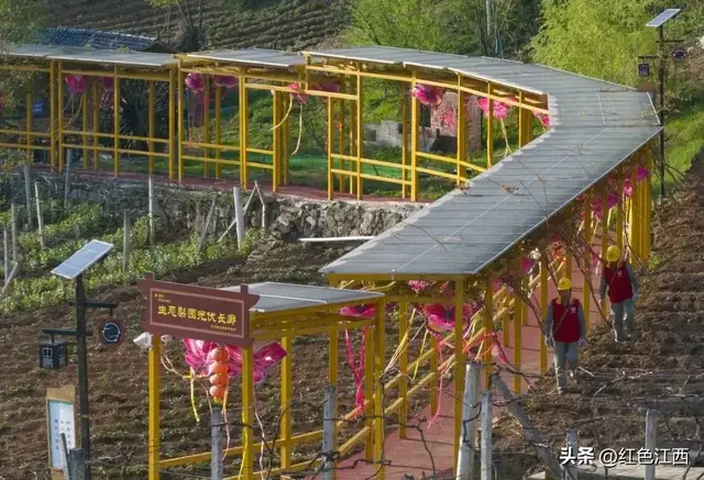 巴东云上土店记：一座零碳村的绿色诗行