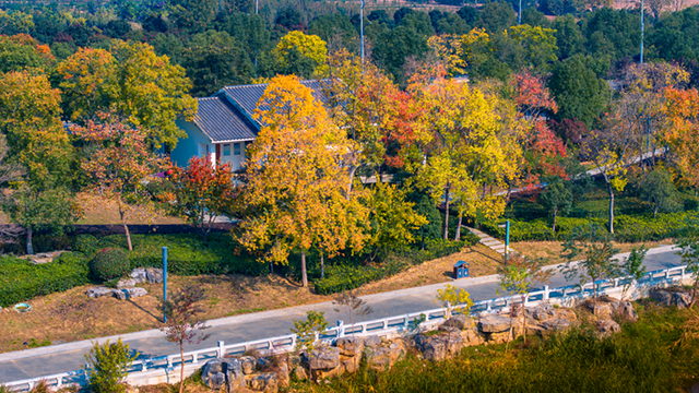 图说遂平：锦绣斑斓醉秋光