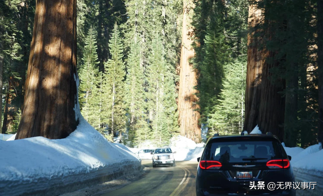 加州之旅反转不断，温暖分享撞上现实冰冷，烟火里藏着治愈与狼狈