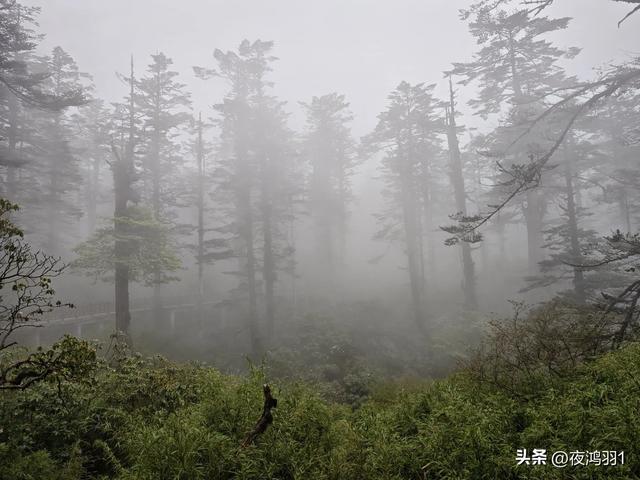 徒步瓦屋山,太艰难了,坚持下来不容易