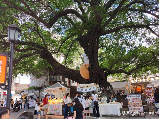 2025国庆第四天游温州：五马街沙帽河街区（半日）