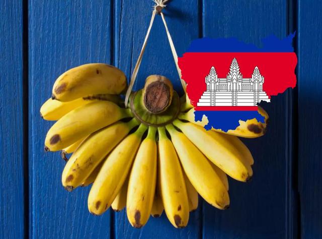 面临下台的马科斯，与中国联手干了件大事，罕见对中方说出了期待