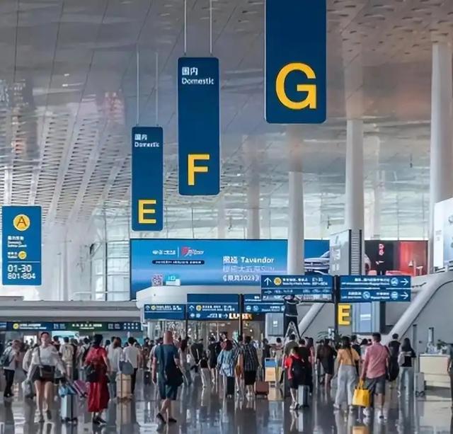 首富夫妻逃亡两年终落网	，一人暴力抗法，一人狂卷9.7亿海外被抓