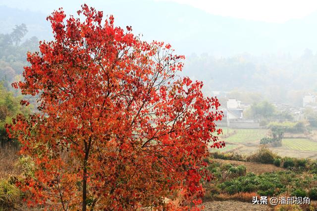 秋色塔川，无梦到徽州