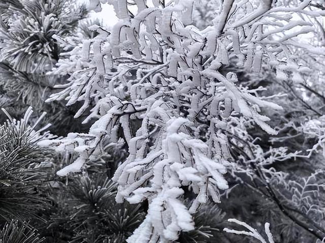 邂逅冬日美丽神话： 嵩山雾凇景观已惊艳上线