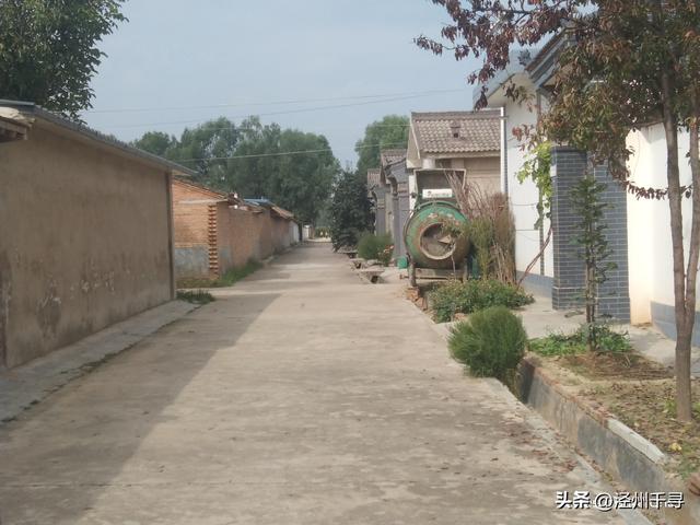 泾川县汭丰镇东王村：寻一处乡野，赴一场闲逸