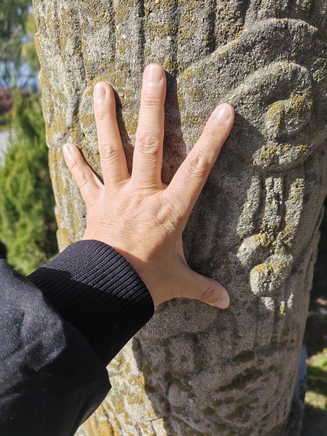 碧云天，黄叶地。秋色连波，波上寒烟翠一一玄武湖银杏迟