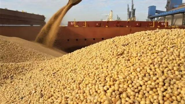 特朗普为何对印度征收25%关税