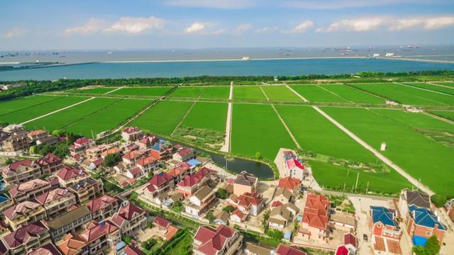 沪上这9条秋游线路,带你走进申城最美的秋景~