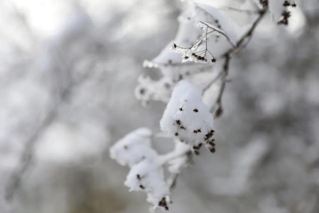 恩施大峡谷的雪景有多美！提前剧透来啦！