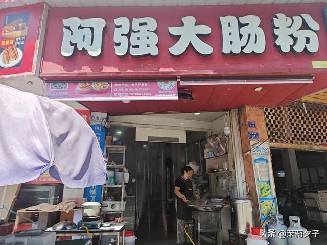 福鼎市区一日游：从白茶发源地到市井小吃赏唐风建筑品山海韵味