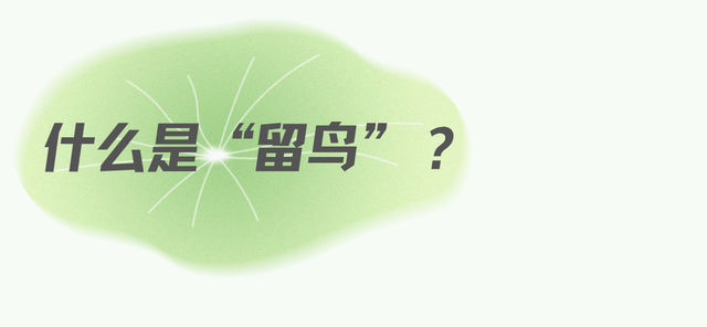 成都市中心竟藏着一个观鸟天堂？来这座公园偶遇20种留鸟！